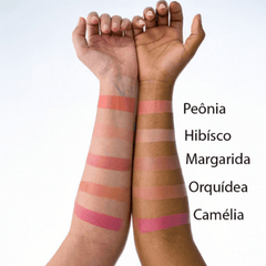 Blush Margaripetala Camélia - Maria Margarida