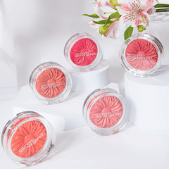 Blush Margaripetala Camélia - Maria Margarida