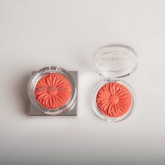 Blush Margaripetala Peônia - Maria Margarida