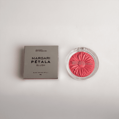 Blush Margaripetala Camélia - Maria Margarida