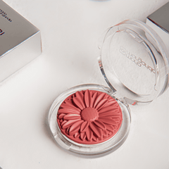 Blush Margaripetala Margarida - Maria Margarida