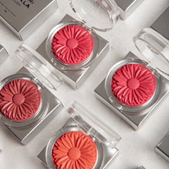 Blush Margaripetala Hibiscos - Maria Margarida