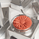 Blush Margaripetala Orquidea- Maria Margarida