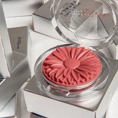 Blush Margaripetala Hibiscos - Maria Margarida