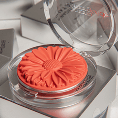 Blush Margaripetala Peônia - Maria Margarida