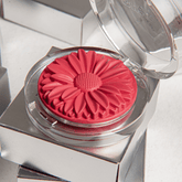 Blush Margaripetala Camélia - Maria Margarida